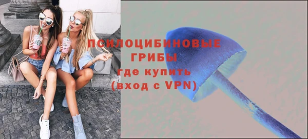 PSILOCYBIN Абдулино