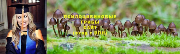 мяу мяу мука Абаза