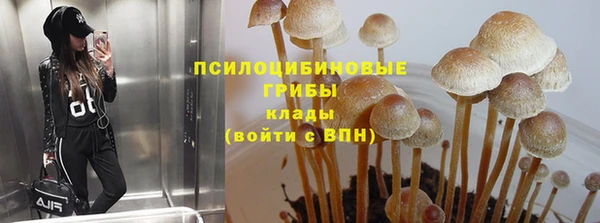 PSILOCYBIN Абдулино