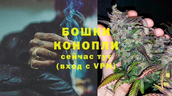 мяу мяу мука Абаза