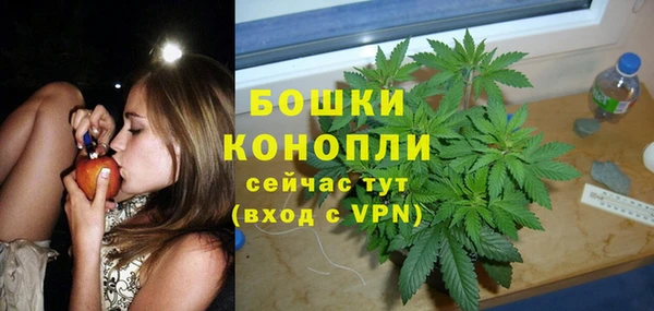 PSILOCYBIN Абдулино