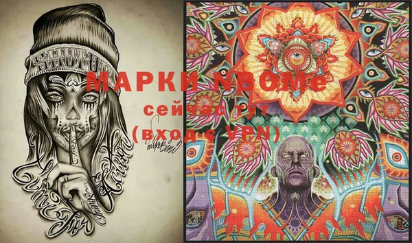 2c-b Пестово