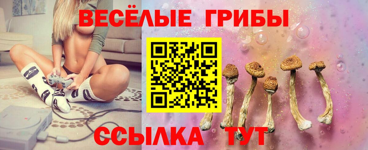 Галлюциногенные грибы GOLDEN TEACHER  закладка  Тольятти  Вход с VPN 